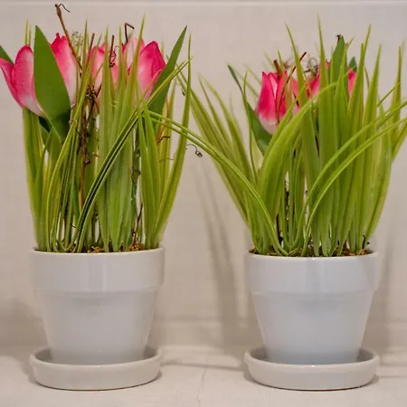 Mary Ann 2 Διαμέρισμα *